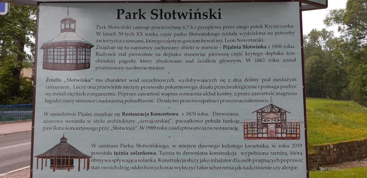 Apartament Zoya + Garaz Krynica Zdroj Exterior foto