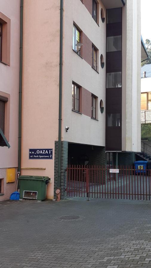 Apartament Zoya + Garaz Krynica Zdroj Exterior foto